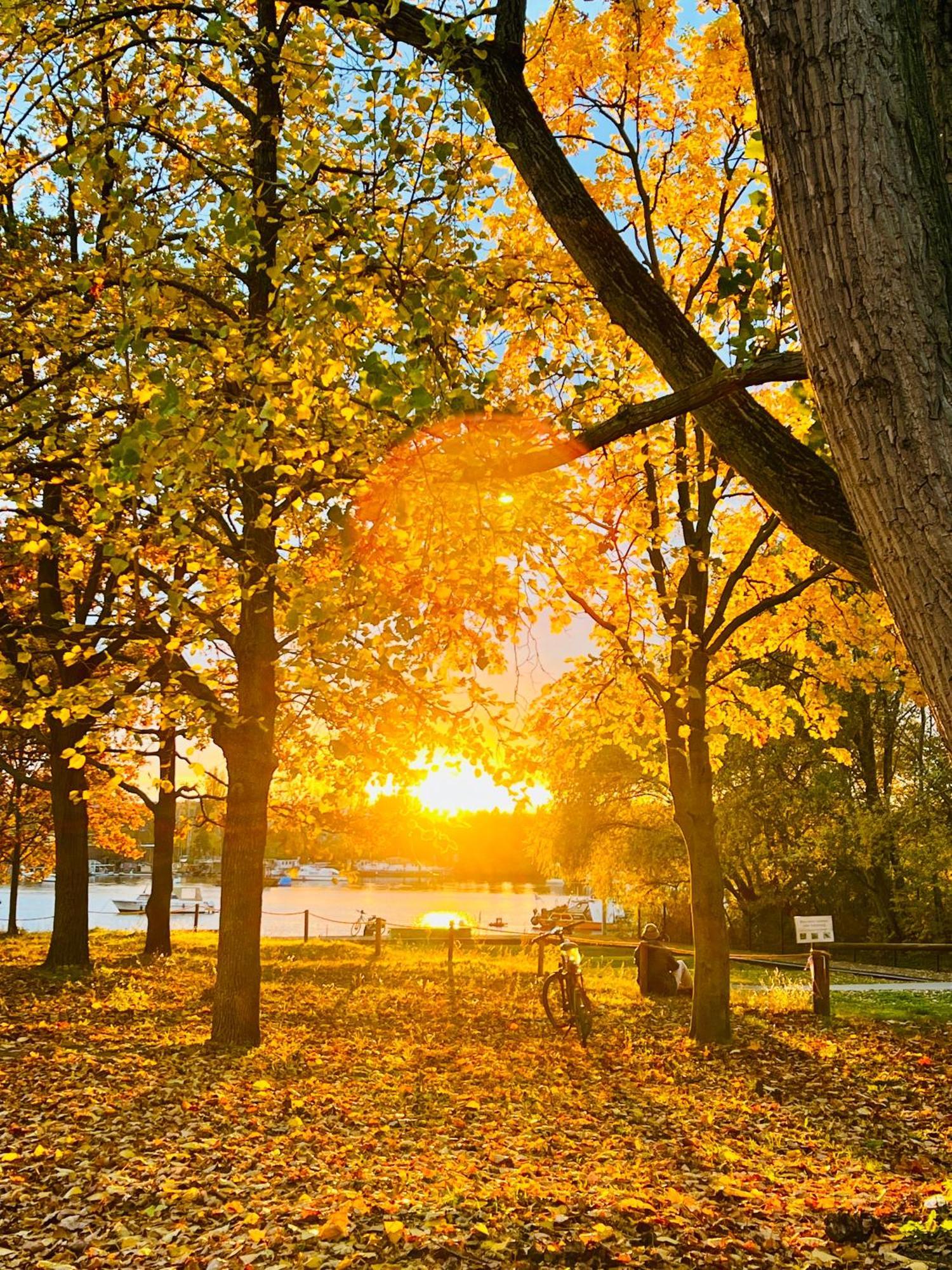Schoene Aussichten Mitten In Berlin - Il Sole Bagian luar foto