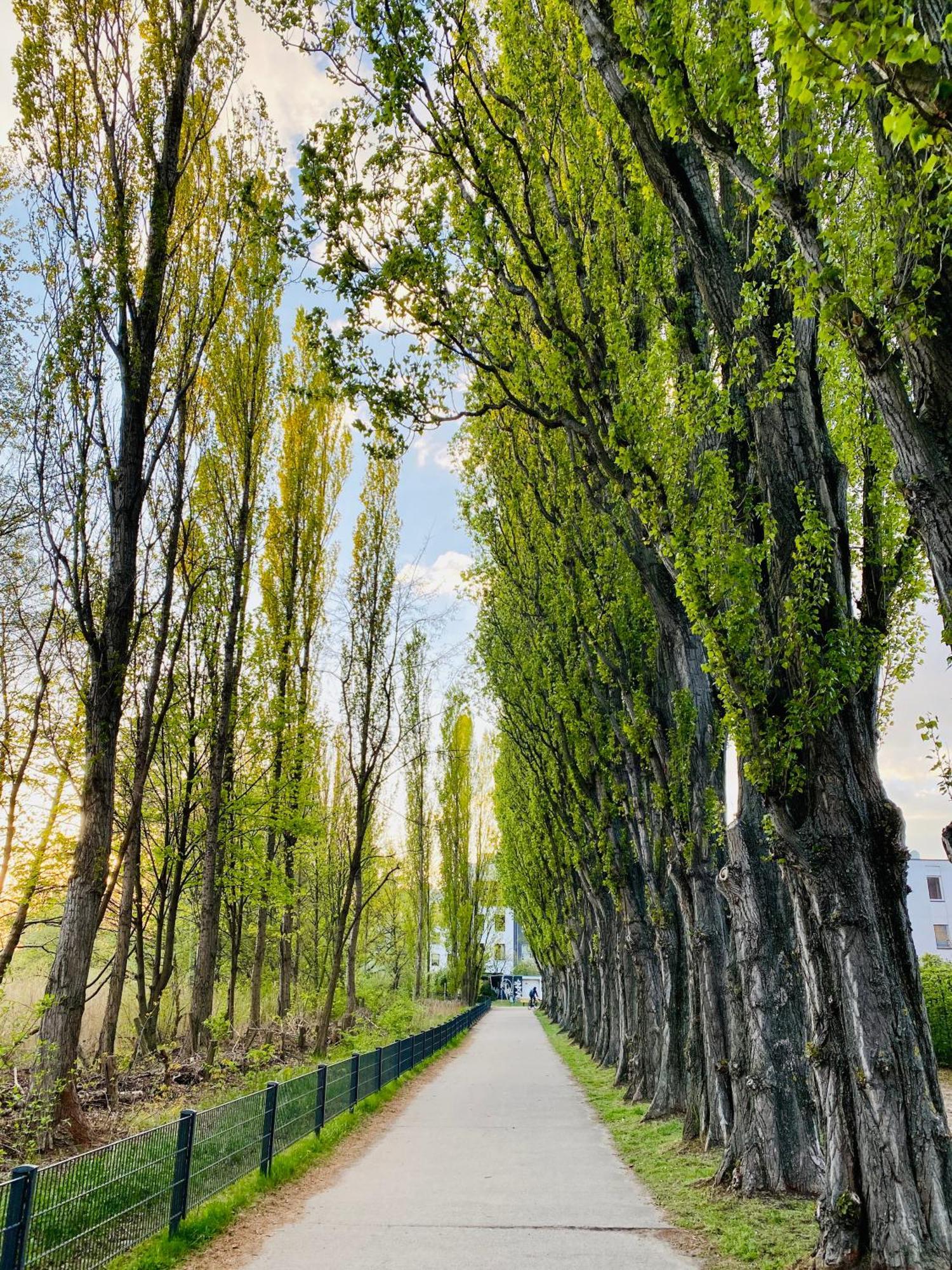 Schoene Aussichten Mitten In Berlin - Il Sole Bagian luar foto